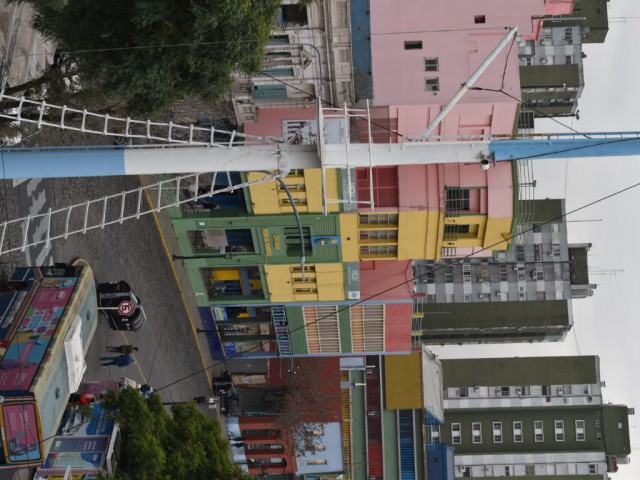 DSC_3398 (Medium).JPG